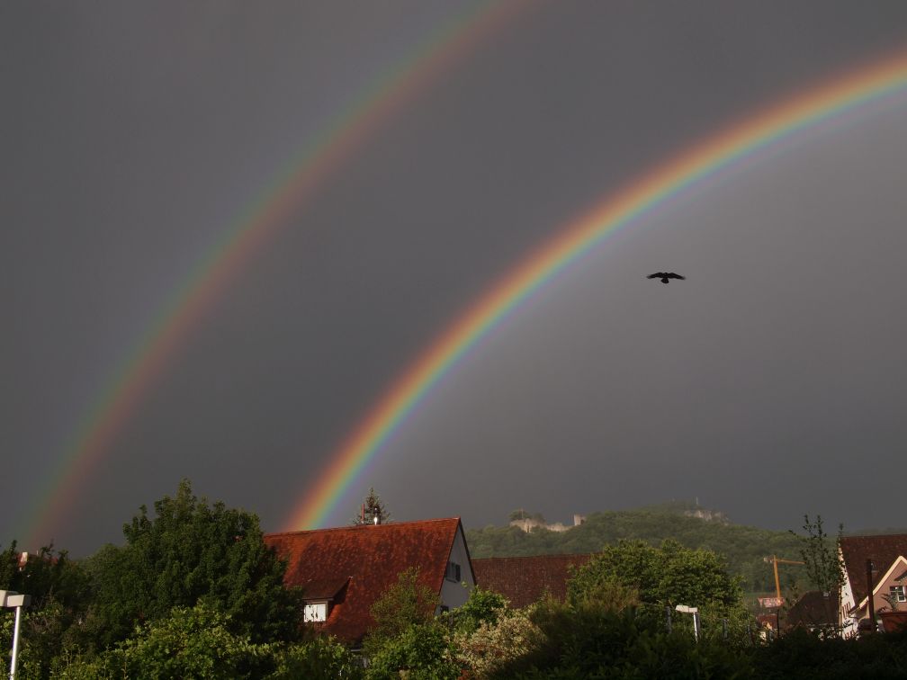 Regenbogen